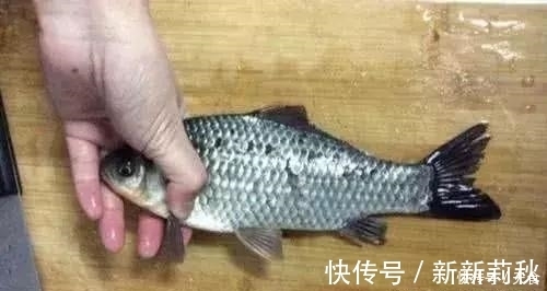 香酥鲫鱼|做鲫鱼时,加一点它,鱼刺“化于无形中”,从头吃到尾连渣都不剩