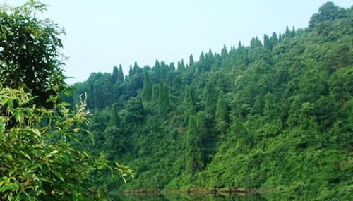 弹簧|手竿如何垂钓大头鱼,重点就是饵要轻雾化好,我从四个方面说明