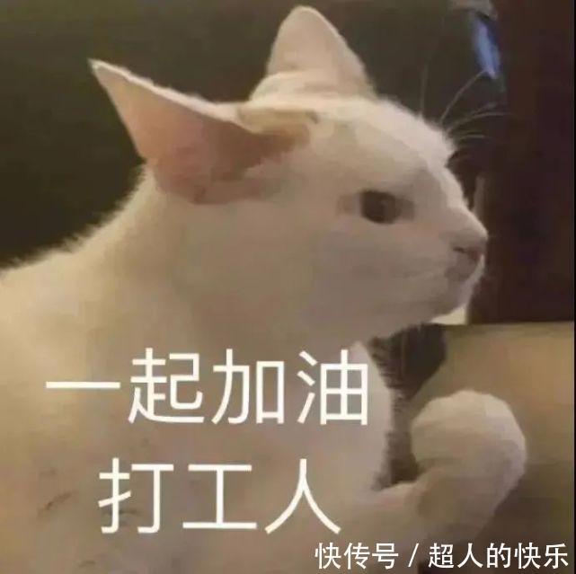 沙雕|表情包丨沙雕聊天表情包