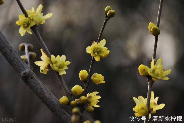 小寒至寒 养生保健要保暖！