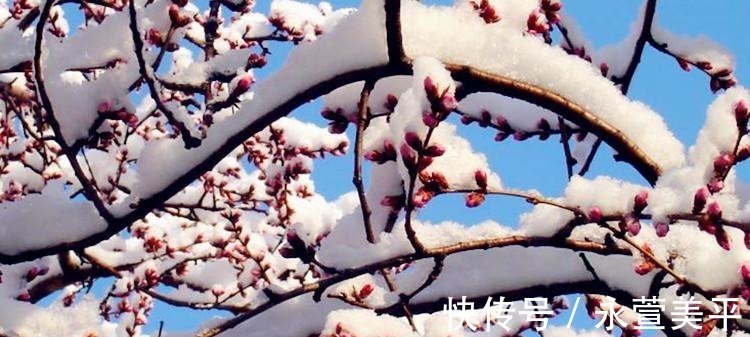 风雪夜归人#古代写雪最好的五首诗,这次还是李白胜,只因他这句比喻太强大!