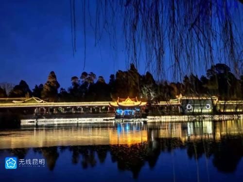 森林、瀑布、海浪……昆明大观公园“夜大观”升级亮相