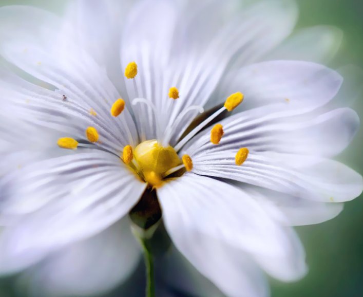 发展|哪些日子出生的人，有过人的胆识，不惧风雨，突破传统，创造价值