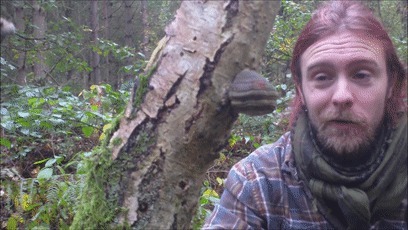 树木|日本网友发现野生奥利奥,这年头饼干都能从树上长出来了