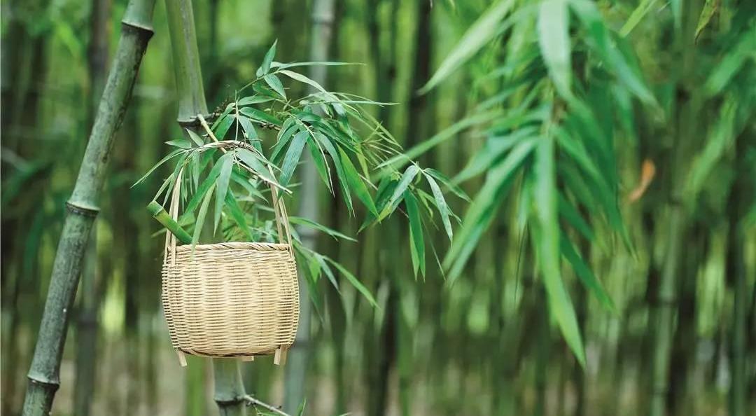 为师!孔子问天上有多少颗星星? 一7岁小孩回答后, 孔子拜他为师