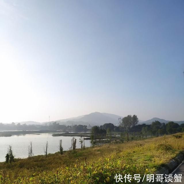 枝头|固城烟雨