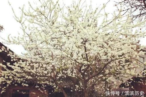 李白寫下大唐第一狂詩 開頭一句家喻戶曉 今成網紅名句人人會背 中國熱點