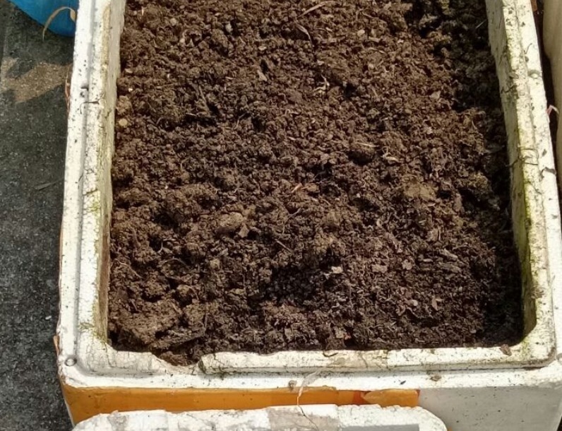 山上一种土，是养花“黄金土”，啥花吃了都疯长！