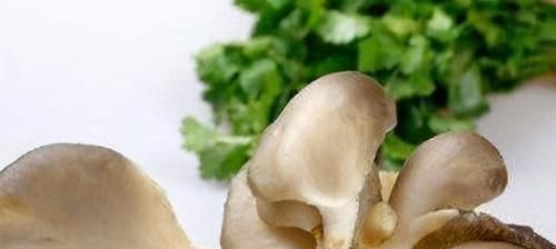 女人|女人月经期间,多吃3种食物,子宫光滑又干净,痛经不来扰