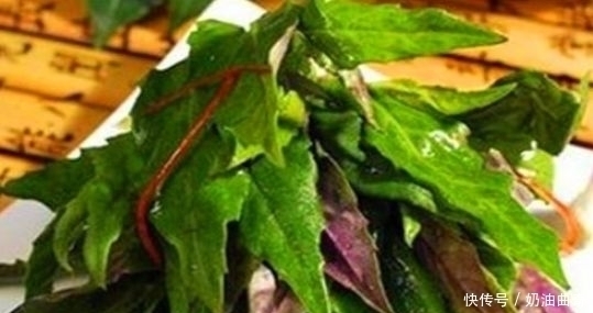 红背菜|想长寿全靠吃,3种食物不能省,清肺化痰,清肠排毒,可助好转