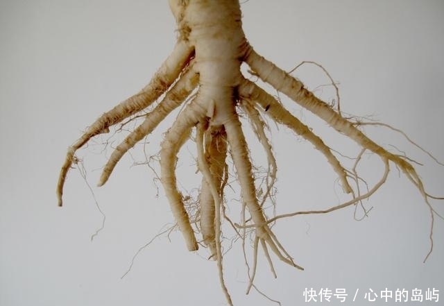 确实|神奇的小秘方治疗各种疾病,确实很实用!你都知道吗?