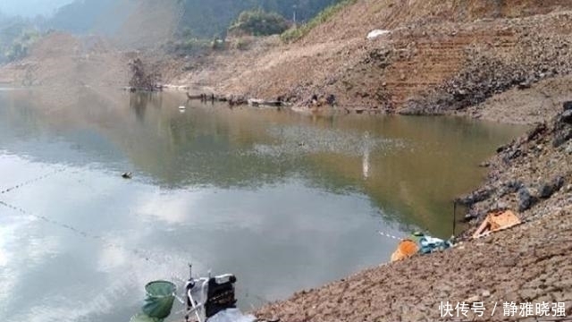 桦尖|老钓手果然有所隐瞒,鲤鱼越大越喜欢“藏”在这3个地方,莫透露