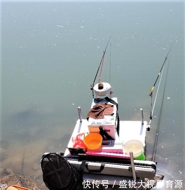 定海神针|钓鱼浮漂一直没信号,不是水里没鱼,而是有些细节没做好