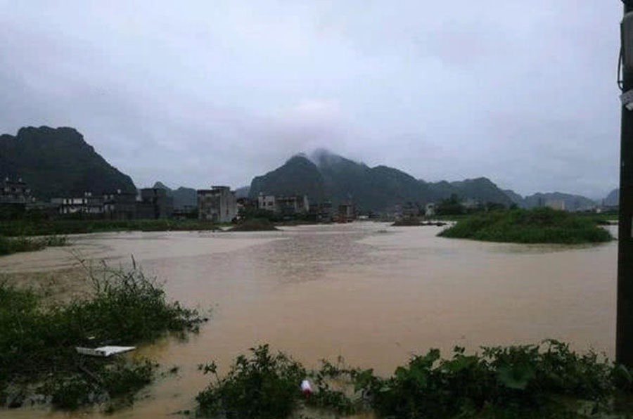 洪水过后去钓鱼,这么大的黄颡鱼,还是头一次钓获