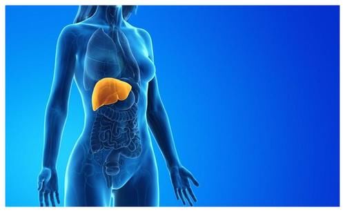 肝脏|肝病患者要少吃盐？这5大饮食事项，快看看你有没有“踩雷”