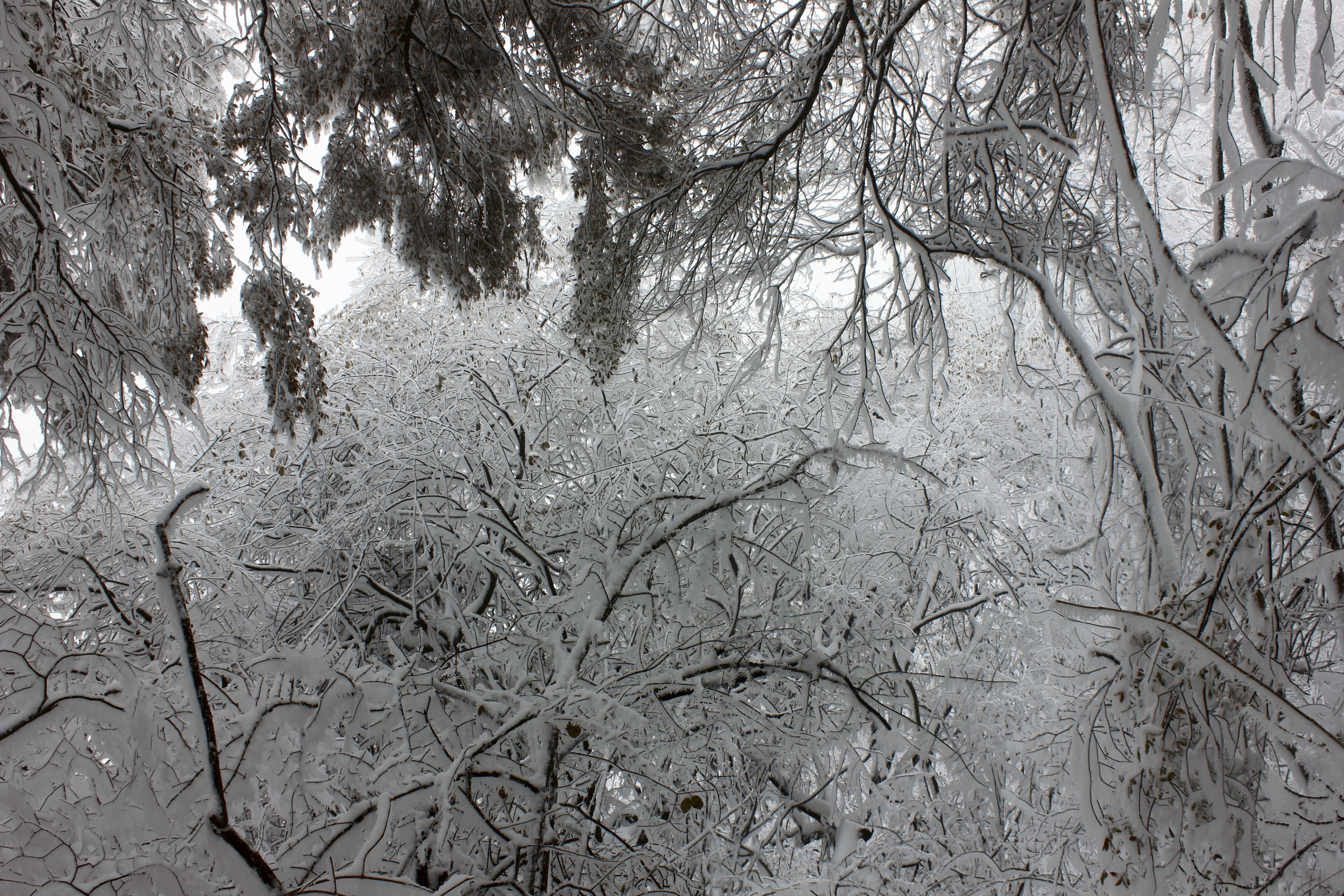 征集|【年末福利征集】雪后南五台幸遇云海