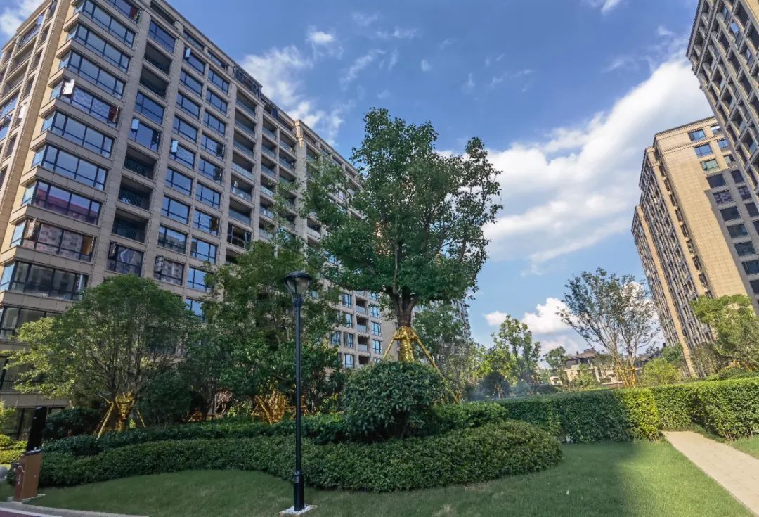 中介|“六万人摇”跌落神坛!西溪公馆“试水”3个月 成交价在未来科技城垫底