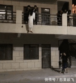 |搞笑GIF：这鸟是饿急了，才冒险来头人类的食物