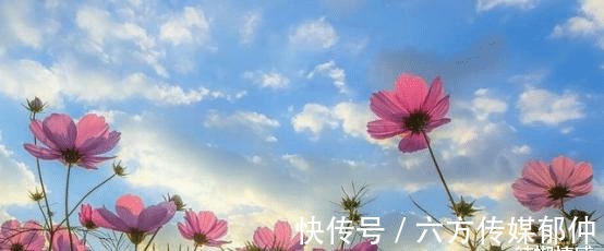 旧爱|8月末,痴心绝对,我心无悔,执着等待,坚定不移,旧爱终会回头