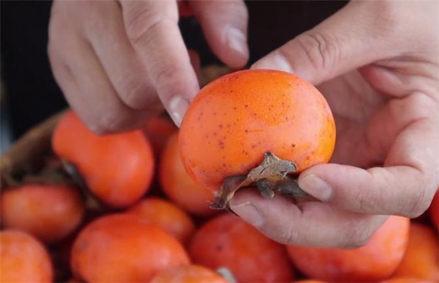 苦涩味|暖柿子,教你两个小技巧,柿子香甜脆爽又好吃,方法超简单