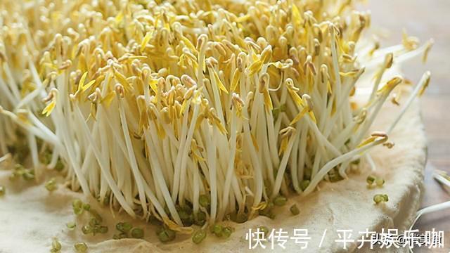 卫生|家庭自制绿豆芽，教你5个小秘诀，豆芽4天就能吃，安全卫生又营养