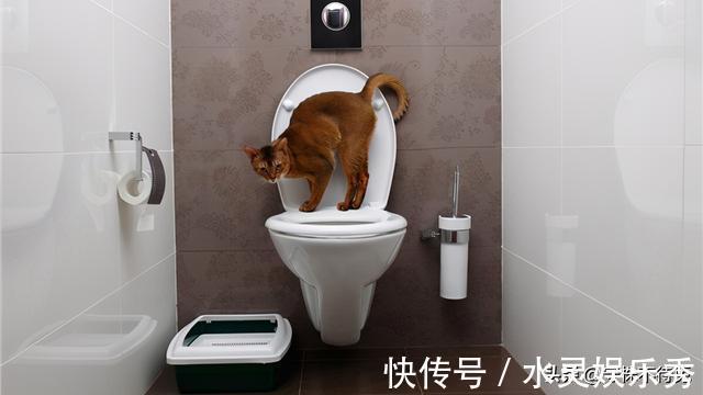 鼓膜|24个冷知识：真实存在于世界，可以使人博学的有趣知识