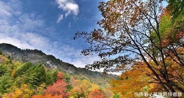 秦岭深处有一座小县城，秋色不输川西，可媲美喀纳斯，你听说过吗