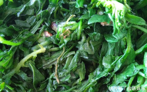 冬天不吃这菜就亏了,10瓶钙片比不上一口它,孩子吃了长个子