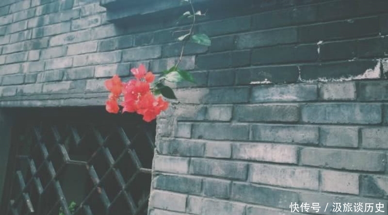 选入课本最多的一首宋诗,其中有一句脍炙人口,但意思却又扭曲了