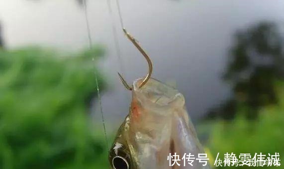 钓浮不会调漂没关系，这两种方法，会操作、懂思路就能上鱼