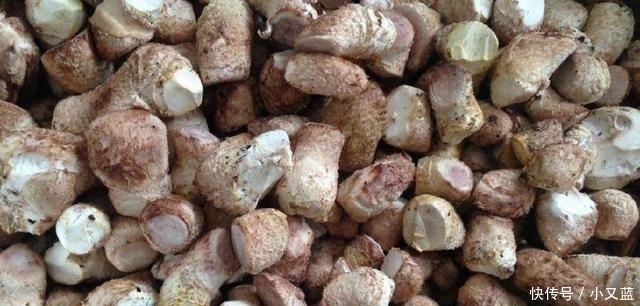 两块钱能买一大堆,简单一熬,太美味了 才能|结出|橡子|凉粉|果子|中薪