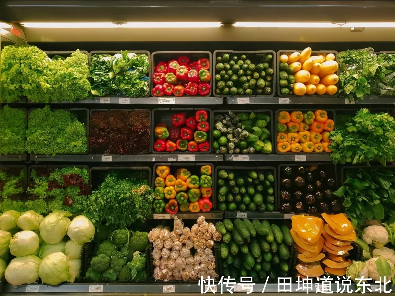 食品安全隐患就在身边!身体健康离不开吃的健康|田坤道| 西瓜