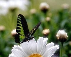 人心$良言20句,见证人心,看透人性看一次胜读十年书