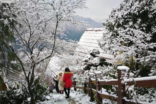 中年|成都“小众”耍雪地，玩雪全免费门票仅10元，被赞川版“小雪乡”