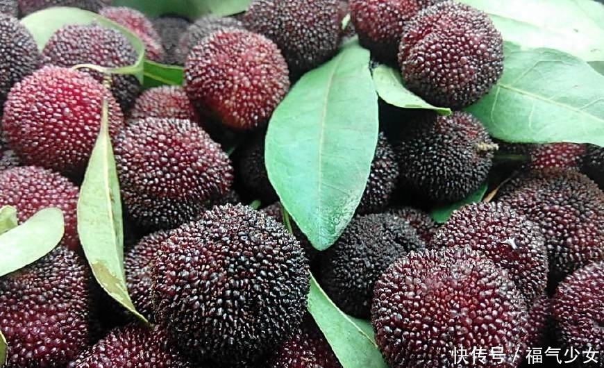 夏天|夏天肝火旺的人，多吃这些下火水果，养肝护肝两不误！