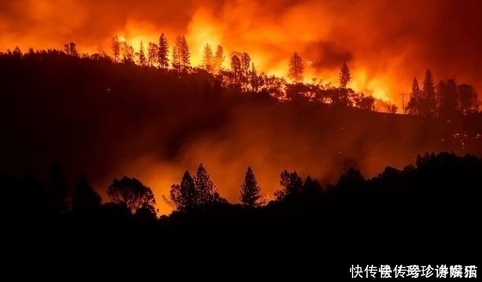 如果人类继续任性,80年后地球变成什么样子不要被霍金预言说中