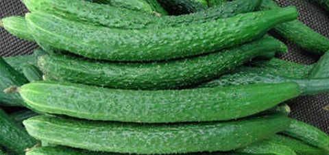 买黄瓜时,很容易买到激素黄瓜,学会这三招,买来的都是好黄瓜