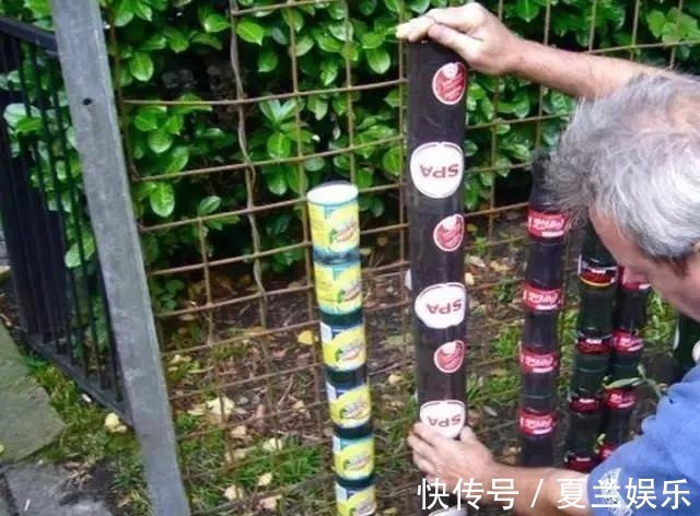 捡回7个塑料瓶,养成空中菜园,变废为宝,吃上绿色蔬菜