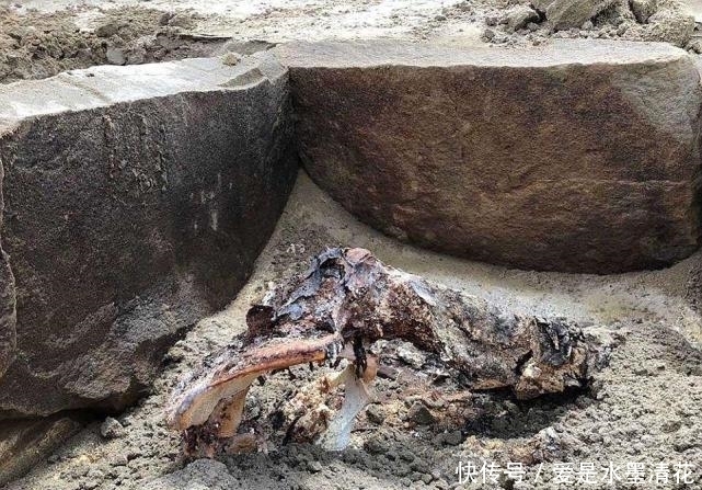 媒体|考古学家挖出一具2000年历史的木乃伊,被媒体称为“睡美人”