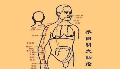  人到中年|默默讲穴位之曲池穴，它是人体自带的降压穴，人到中年要多揉一揉