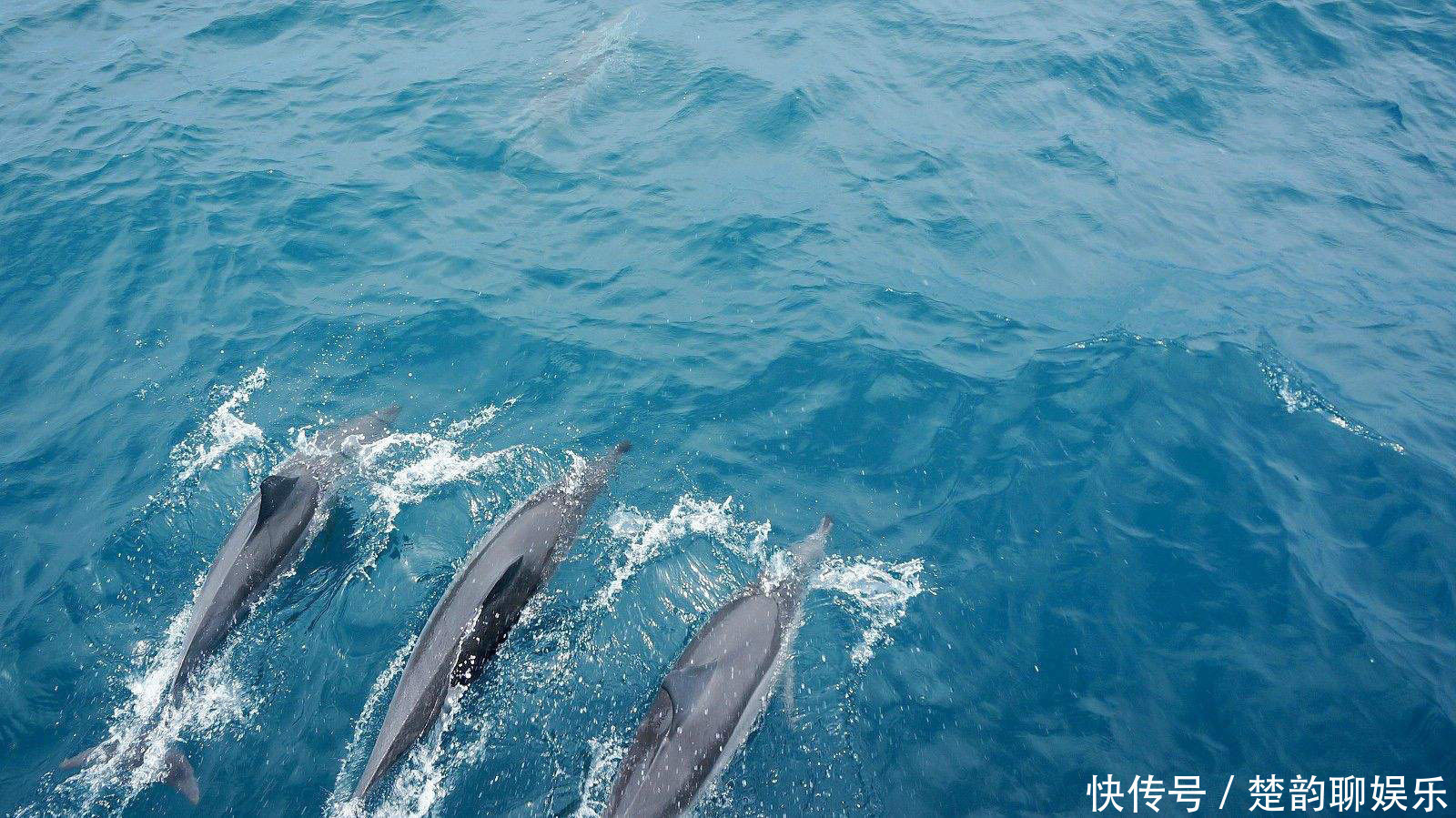 世界上面积最大的洋 占全球海洋面积一半 超过地球陆地面积 今日热点 世界上面积最大的洋 占全球海洋面积一半 超过地球陆地面积 今日热点