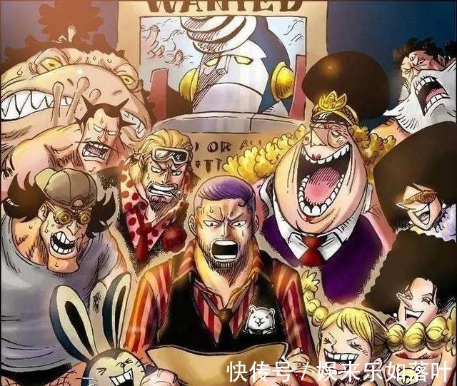 乌索普|草帽团成员除了罗宾，其他人都有个归宿，她可能会加入革命军