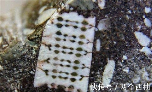 奇石|渔民捡到奇石,镶嵌2.5亿年前“芯片”,史前真的存在高等文明?