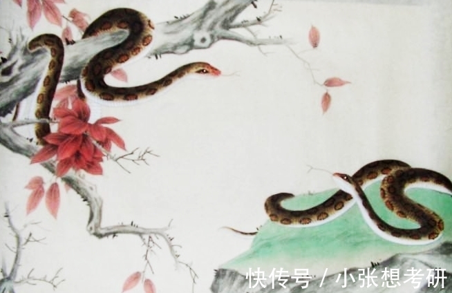 |风趣幽默,在哪都容易混得开,招人喜欢的三大生肖,人缘好财运旺