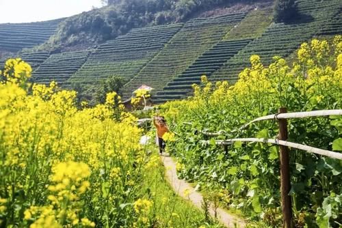 别赶着人潮去太子湾了，杭州还有一处“秘密后花园”，人少花更野！