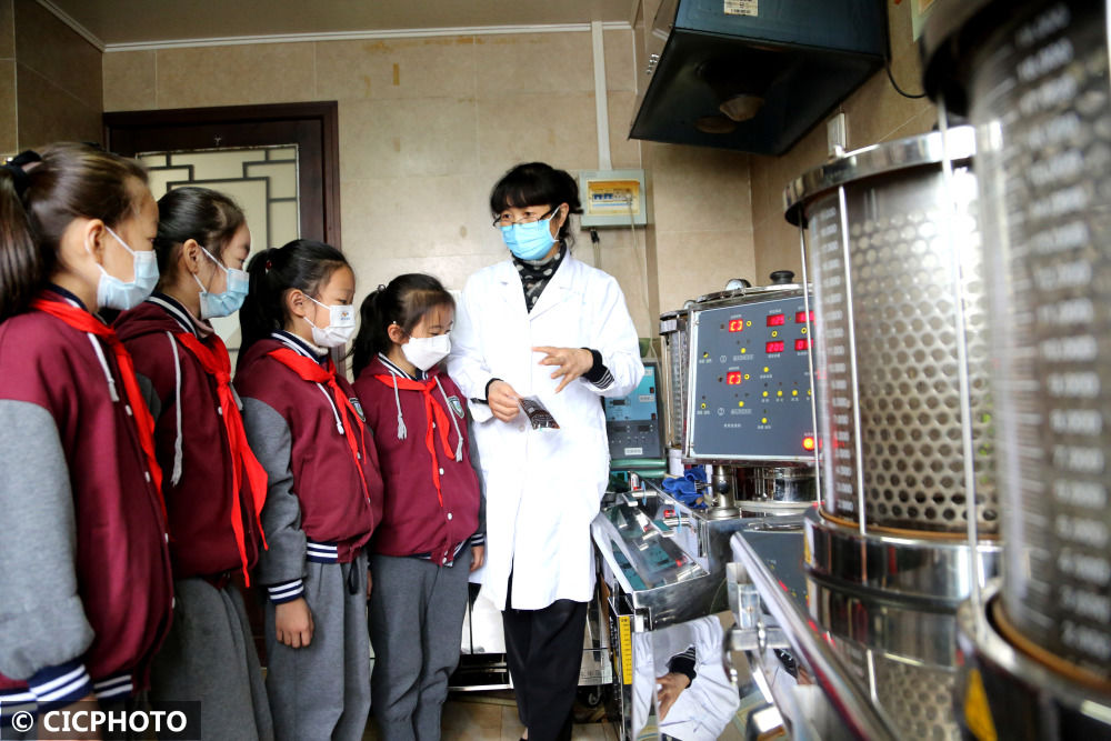 中医|体验中医文化 迎接“世界传统医药日”