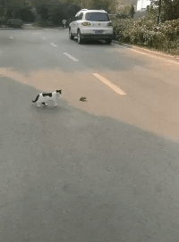 劳动|搞笑GIF:劳动人民的智慧是无穷的