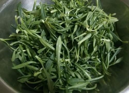 日本人的“长寿菜”被发现,含钙比牛奶高,上锅蒸一蒸,补钙长个头