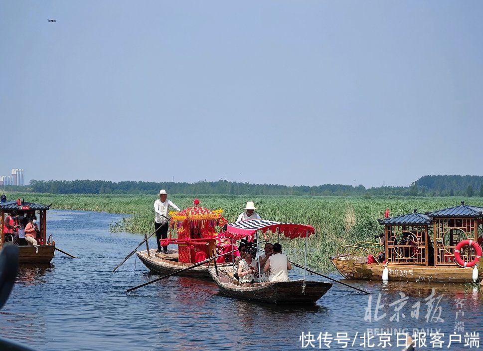 码头|高清大图抢先看｜白洋淀景区升级改造后试运营