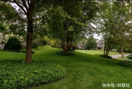 荒丘|史上最大爆仓惨案主角Bill Hwang今何在？恰如猛虎卧荒丘 潜伏爪牙忍受